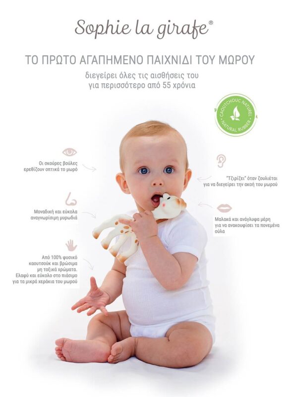 5 senses visual baby EN - Patelino
